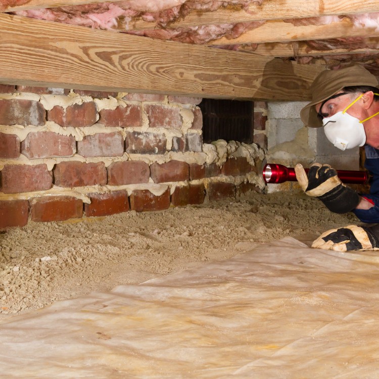 Crawlspace and Duct Cleaning in Charlotte, NC Crawlspace and Duct Cleaning in Charlotte, NC